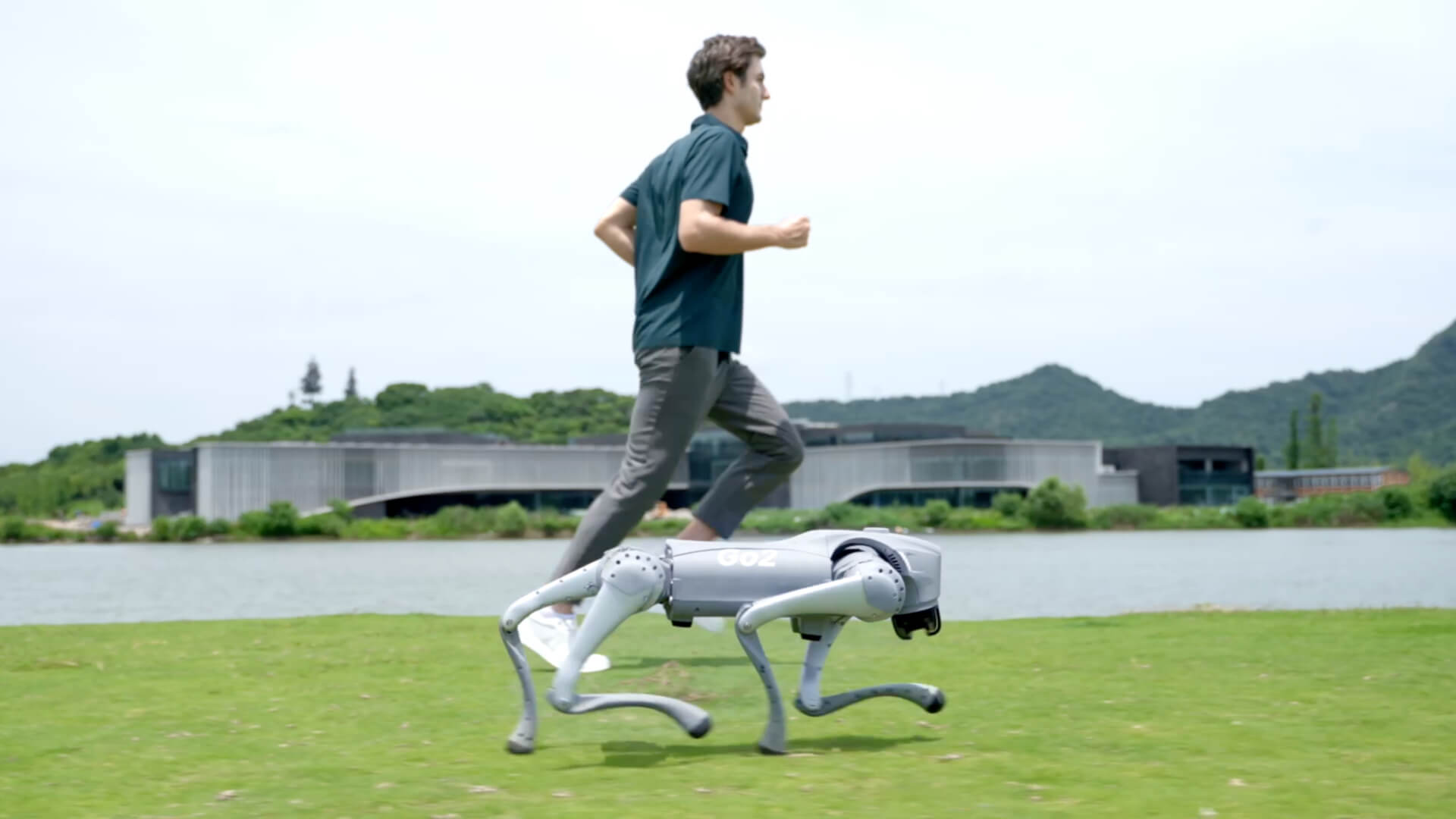 Robot Dog Go2_Quadruped_Robot Dog Company | Unitree Robotics
